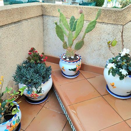 Casa De Buenos Dias Leilighet Torrevieja Eksteriør bilde