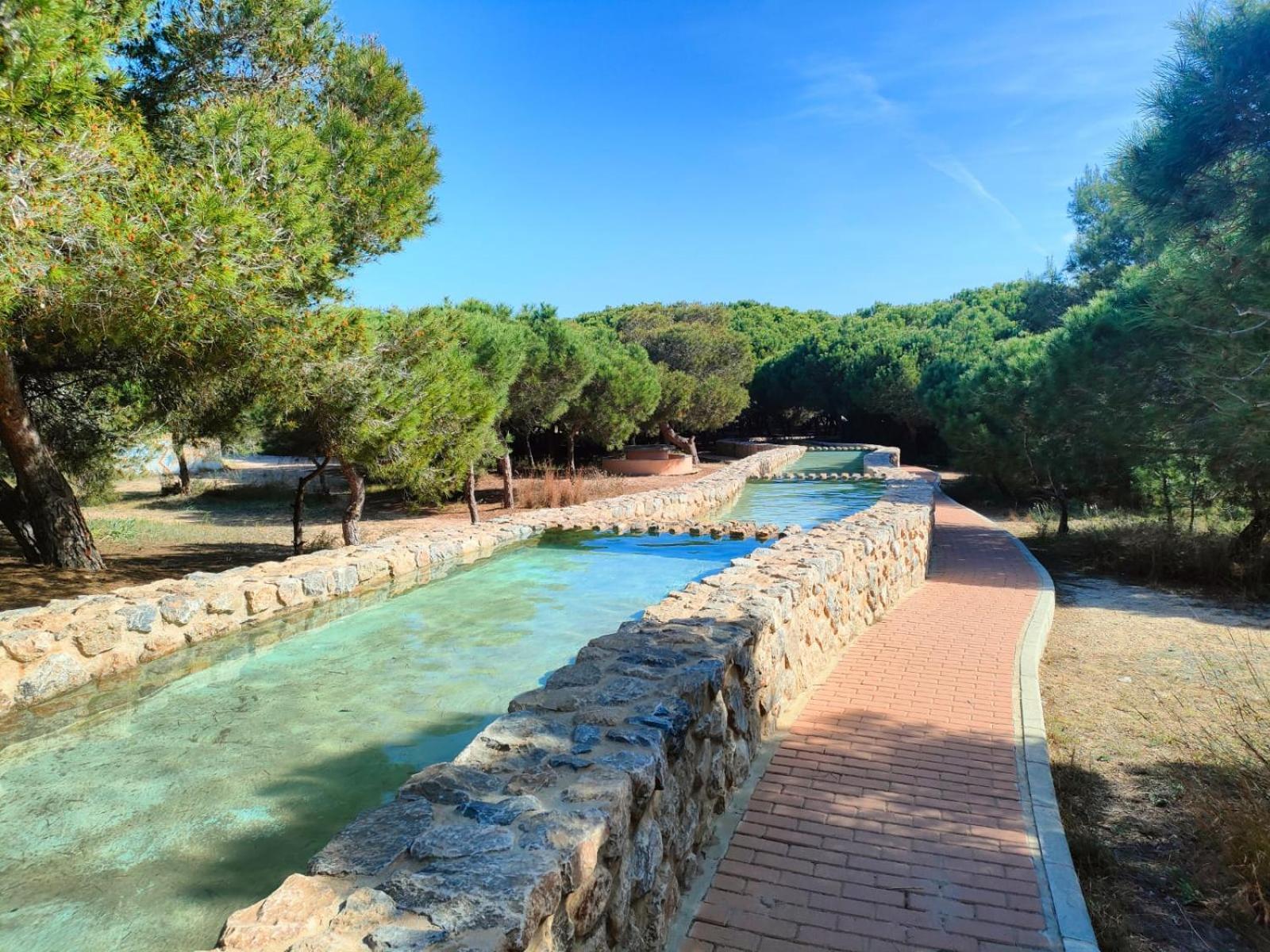 Casa De Buenos Dias Leilighet Torrevieja Eksteriør bilde