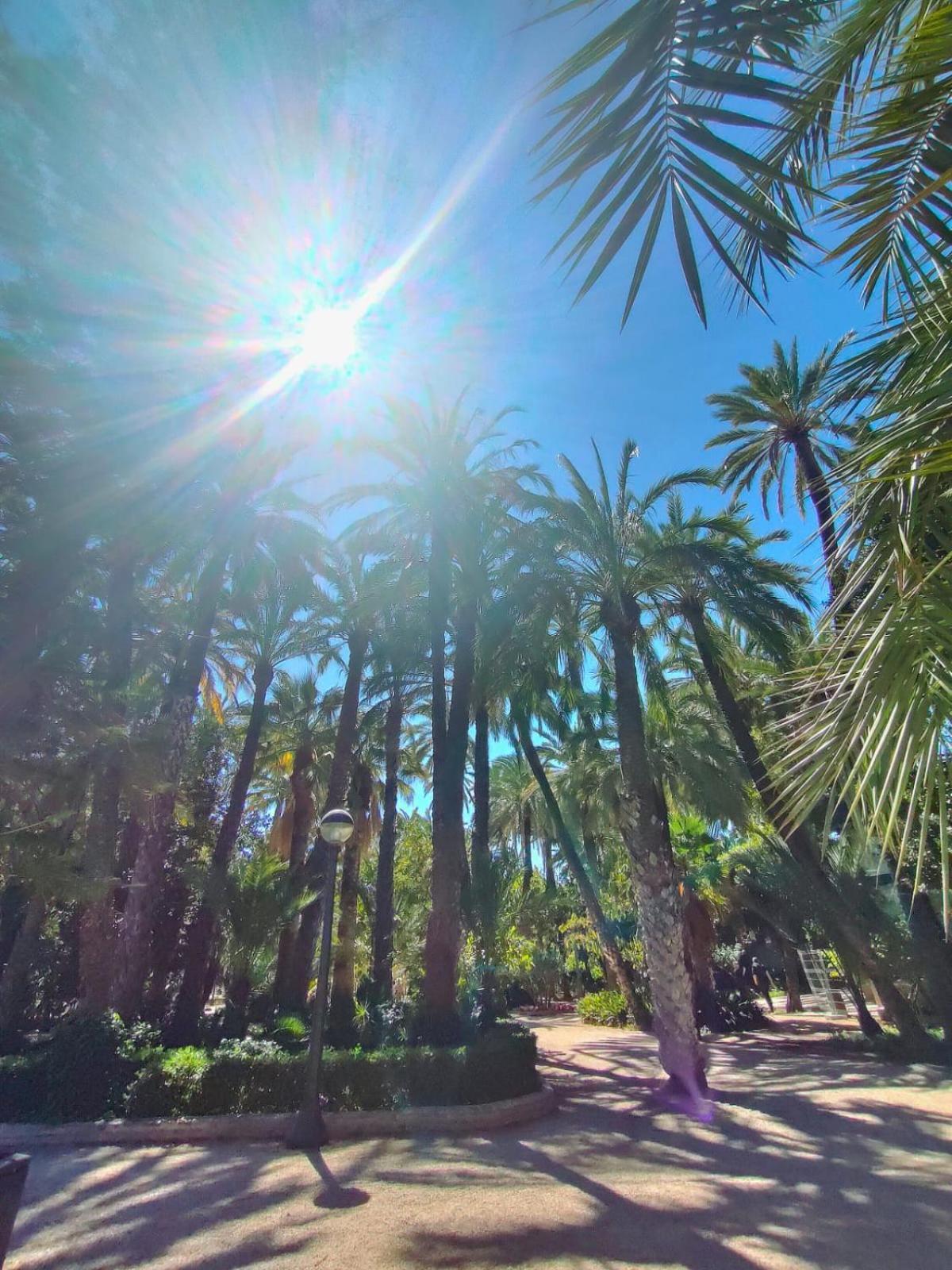 Casa De Buenos Dias Leilighet Torrevieja Eksteriør bilde