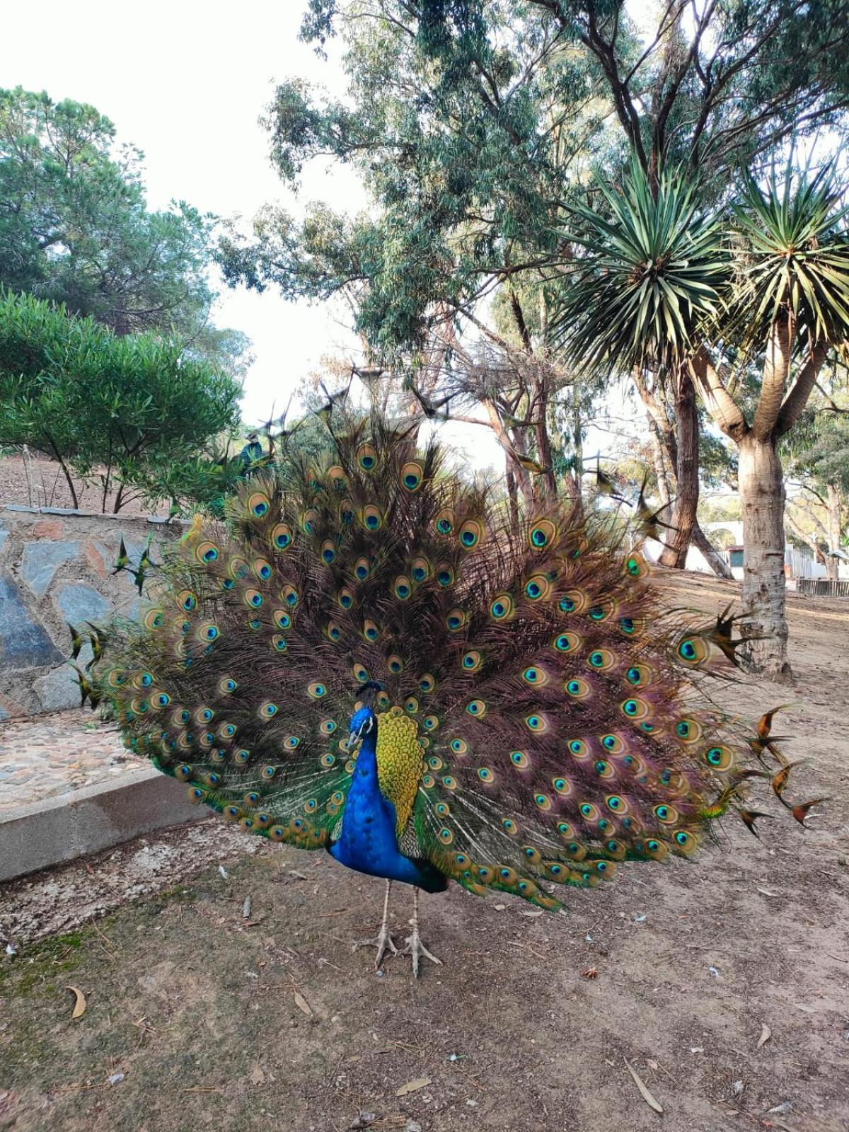 Casa De Buenos Dias Leilighet Torrevieja Eksteriør bilde