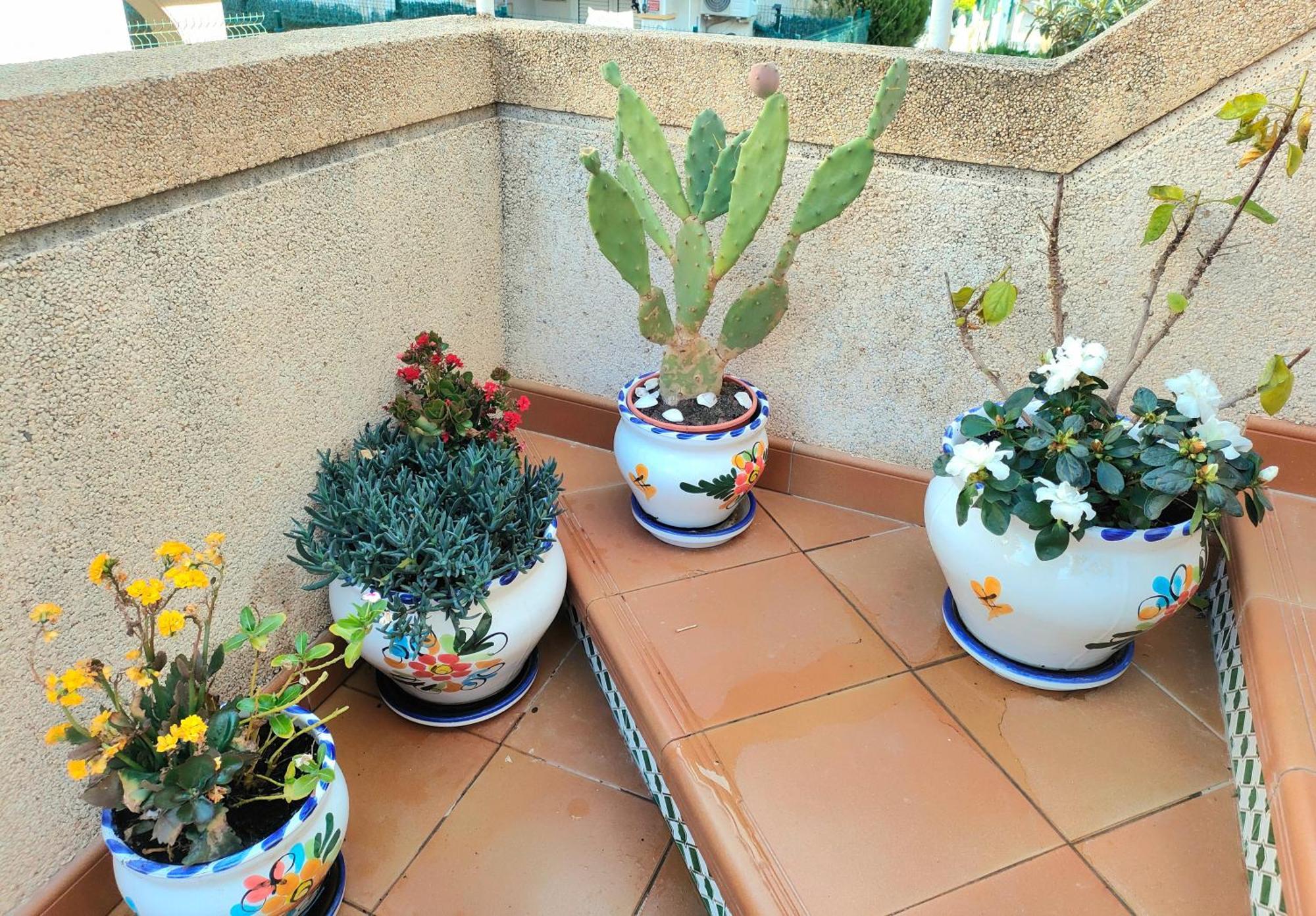 Casa De Buenos Dias Leilighet Torrevieja Eksteriør bilde